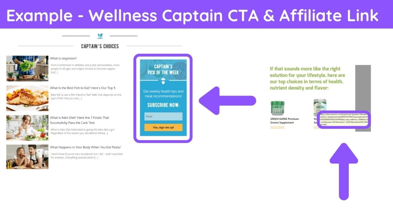 wellness captain sign up, newsletter affiliate marketing, can i use affiliate links in newslettr, newsletter amazon associates, newsletter affiliate ads