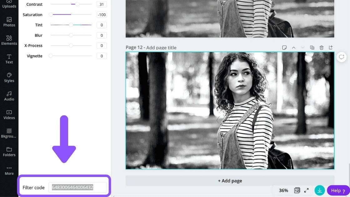 How to Make an Image Black and White in Canva - Blogging Guide