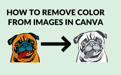 How to Remove Color From Images in Canva