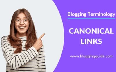 What Is a Canonical Link and Why Should Bloggers Care?