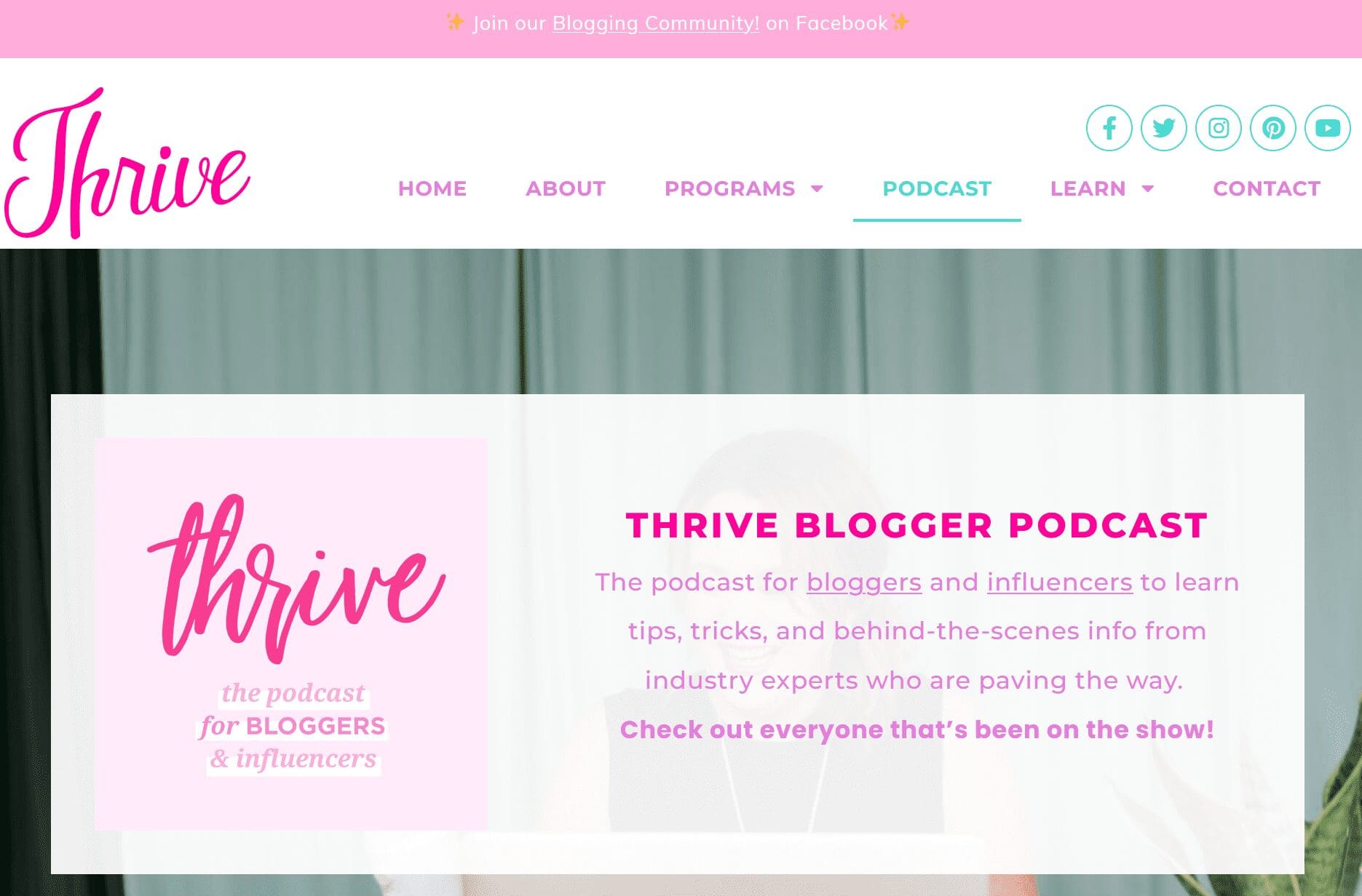 blogging guide newsletter landing page, subscription newsletter, sample subscription newsletter, six figure newsletter, substack newsletter, direct subscription to newsletter, subscription newsletter business model