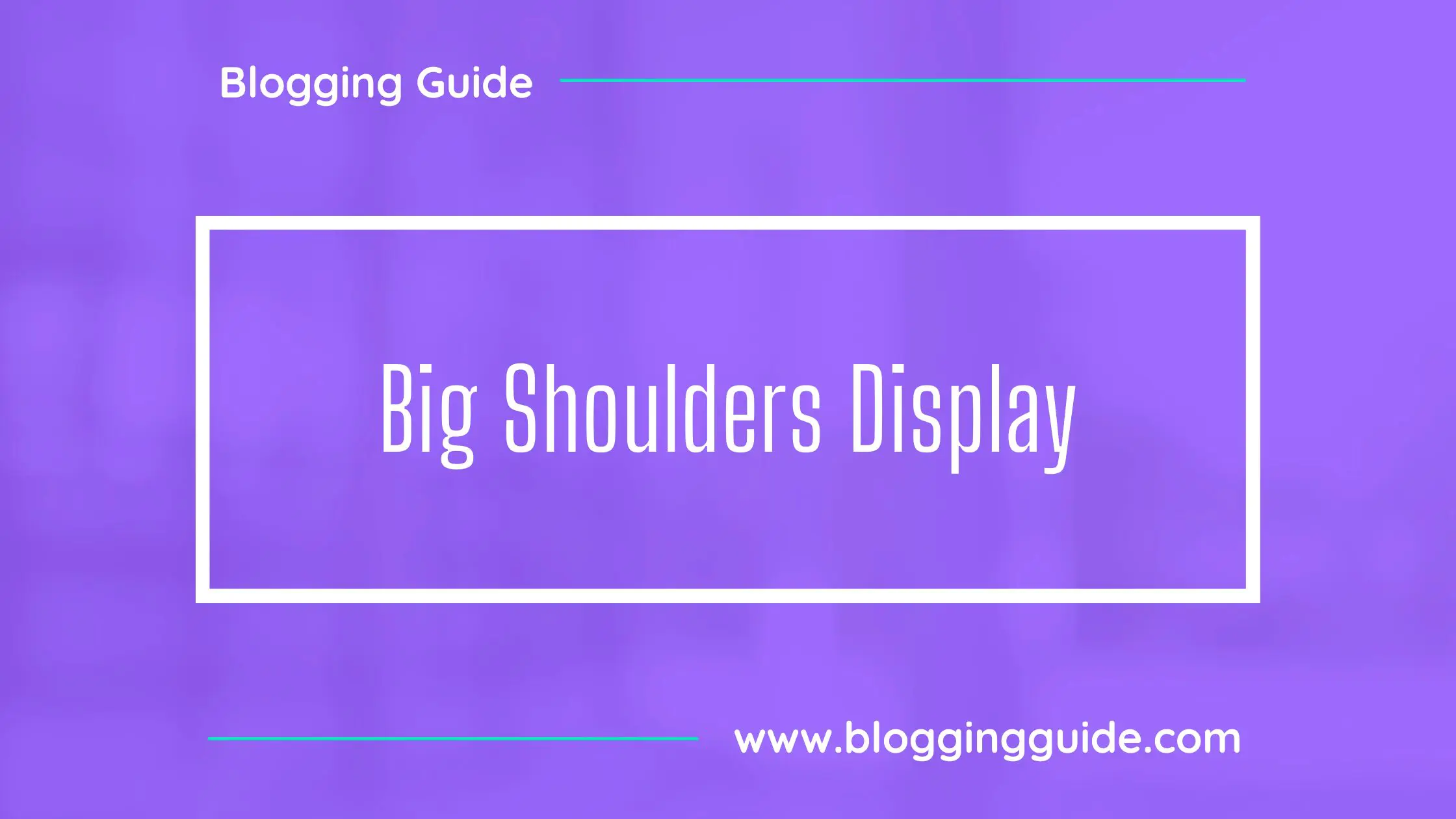 Big Shoulders Display