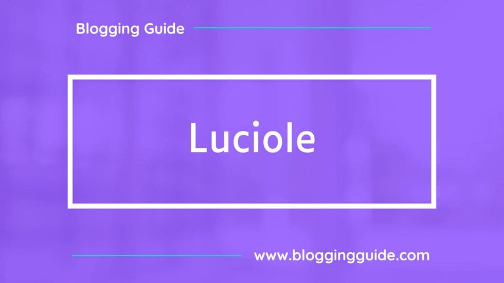 Best Monospace Fonts in Canva - Blogging Guide