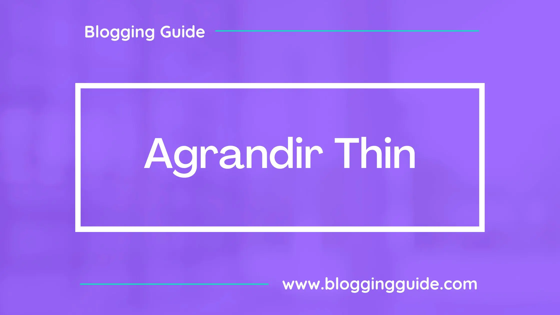 Agrandir Thin