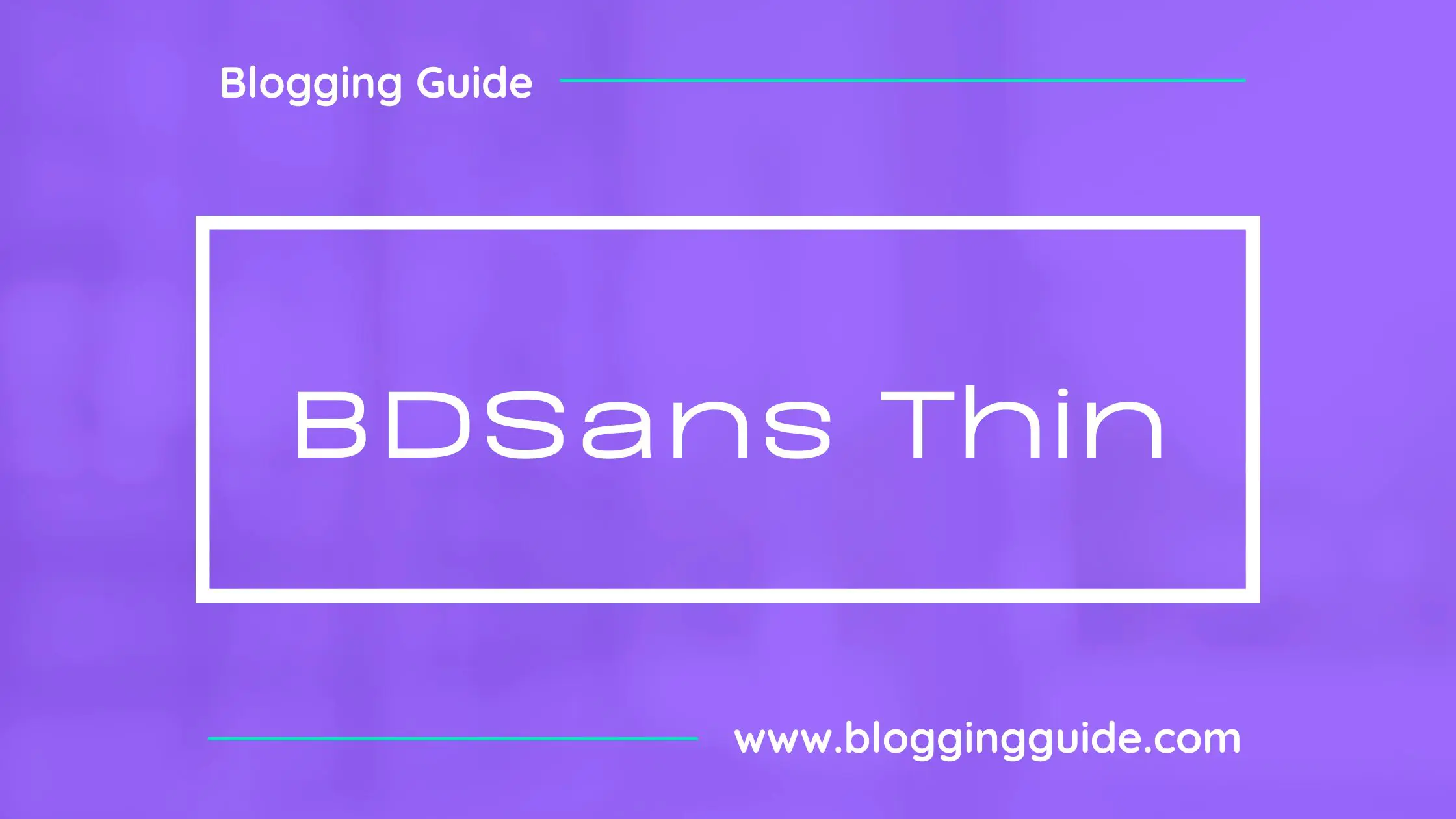 BDSans Thin