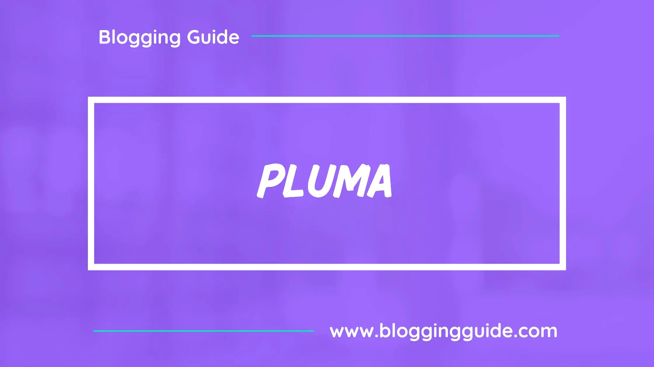 Pluma Canva Font