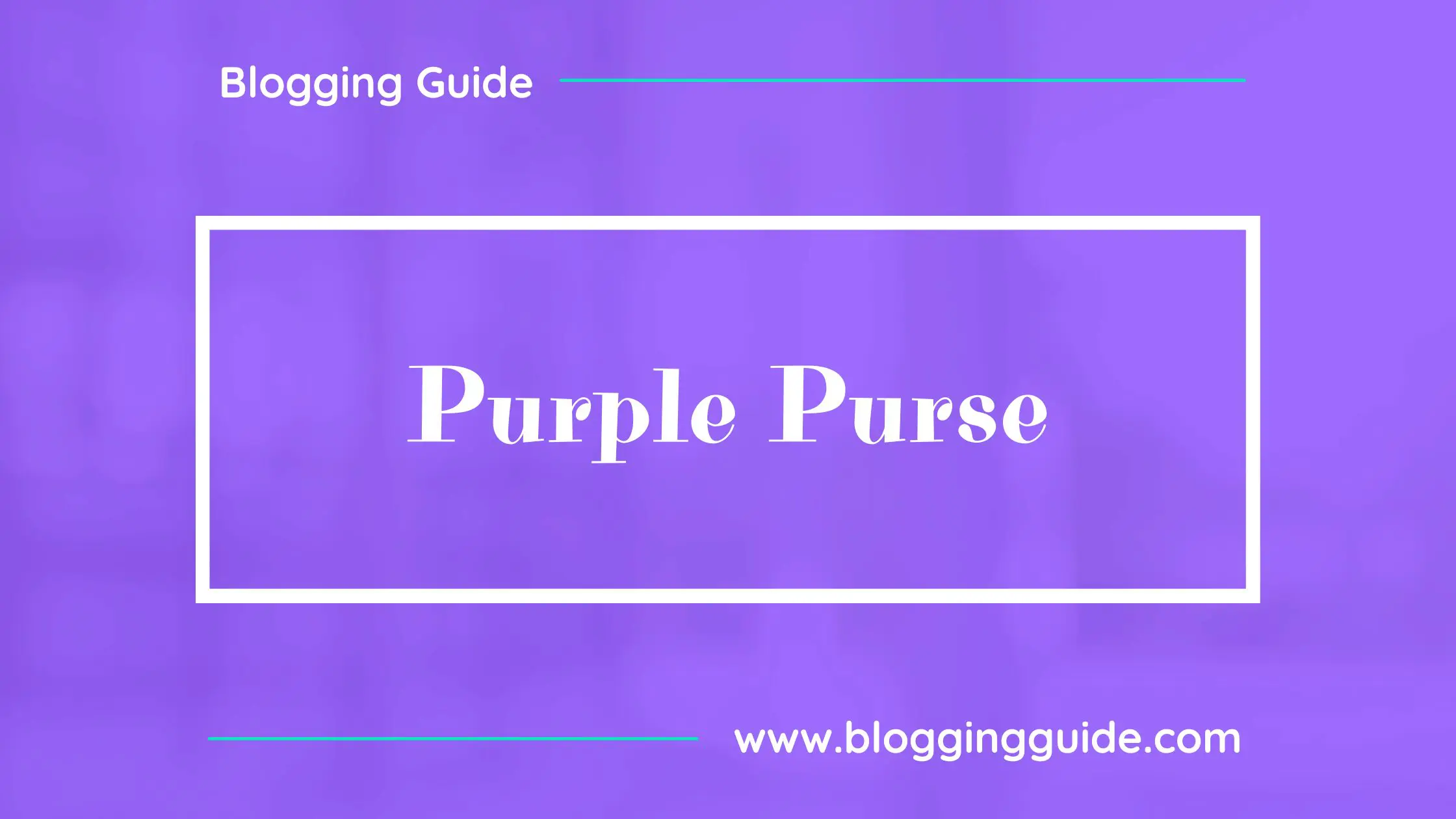 Lilly's Purple Plastic Purse - Emily Education