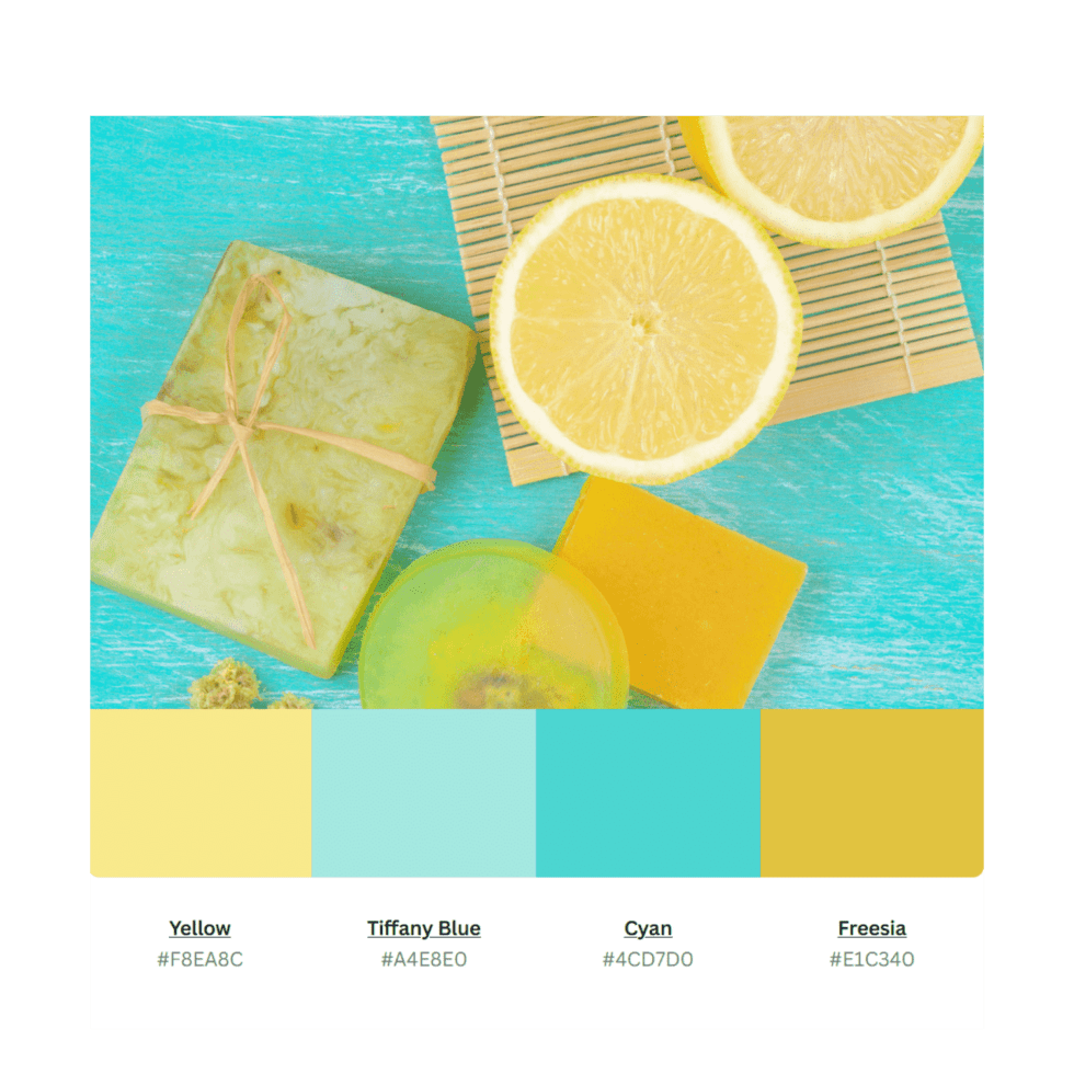 How To Create A Color Palette In Canva Image To U