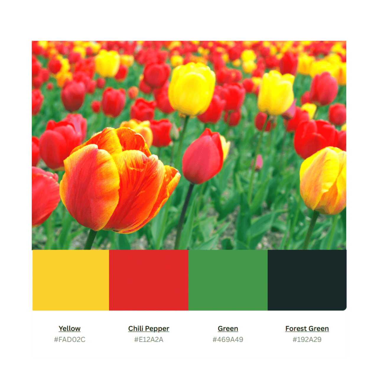 canva-color-palettes-blogging-guide
