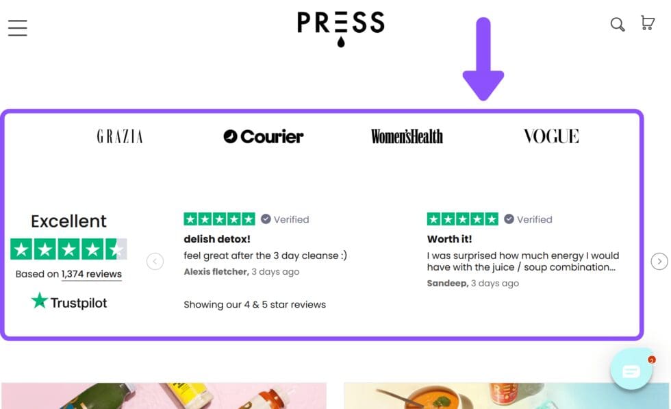 Amazing Shopify Store Examples - Blogging Guide