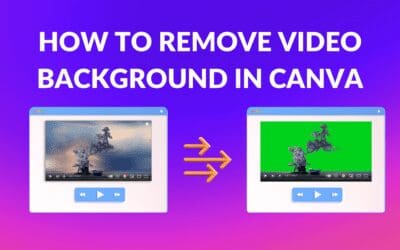 How to Remove Video Background in Canva