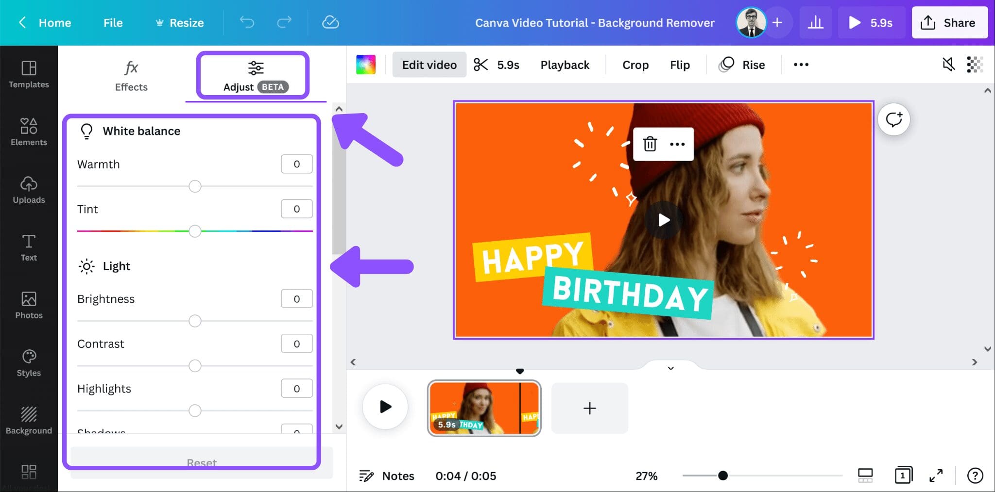 How to Remove Video Background in Canva Blogging Guide