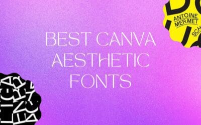 Best Canva Aesthetic Fonts
