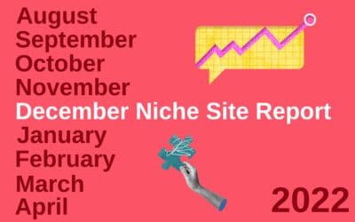 December 2022 Niche Site Report