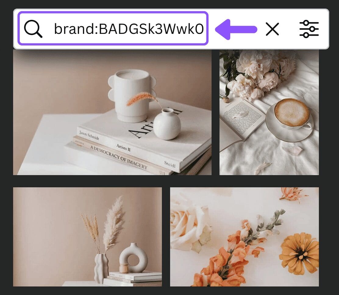 How to Find the Best Canva Stock Photos Using Brand Codes, canva brand code, canva stock photo brand code