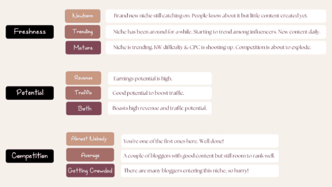 Low Competition Niches for Bloggers - Blogging Guide