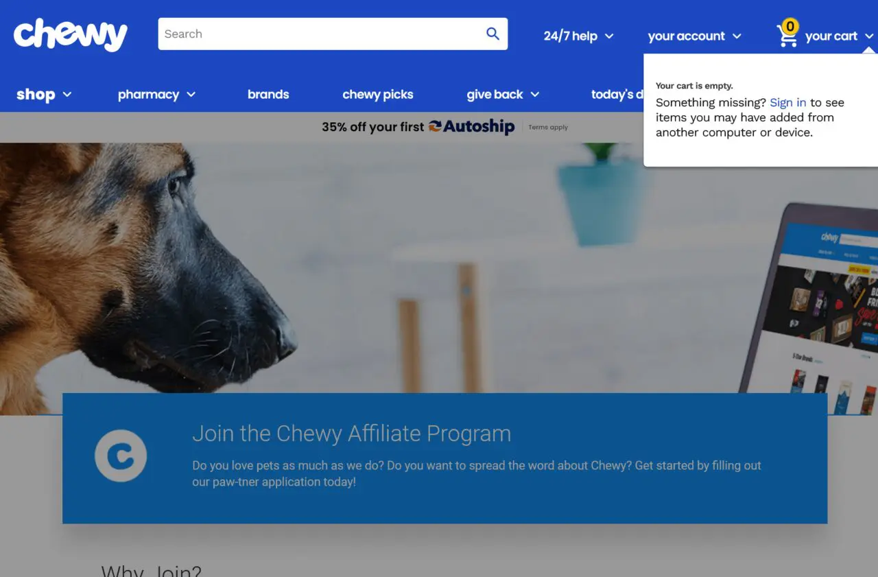 Best Affiliate Programs for Pet Bloggers Blogging Guide