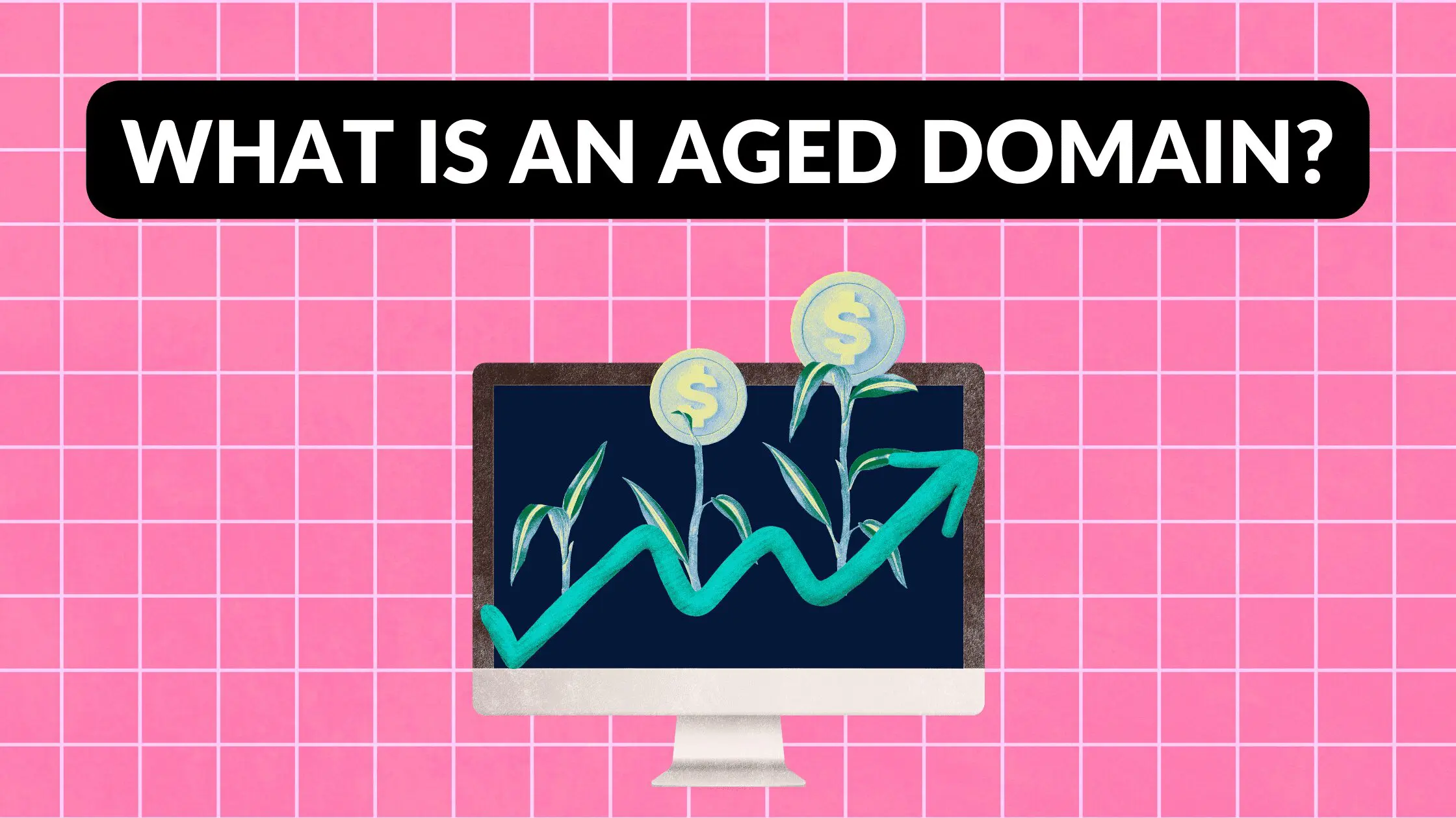 What is an Aged Domain, What does aged domain mean, Is an aged domain worth it, What is aged domain vs expired domain, How do you find aged domains, aged domains for sale, aged domain case study, aged domain marketplace, find out domain age, google domain age checker, Does domain age matter